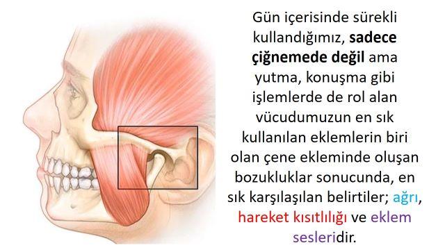 Diş Hekimi Rehberi: Çocuklarda Temporomandibular Eklem (TME) Problemleri ve Ortodonti.