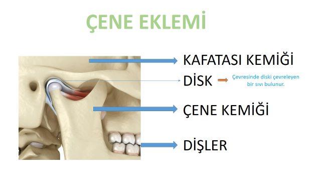 Ortodontik Tedavinin TME Problemlerine Etkisi ve Uygulama İlkeleri