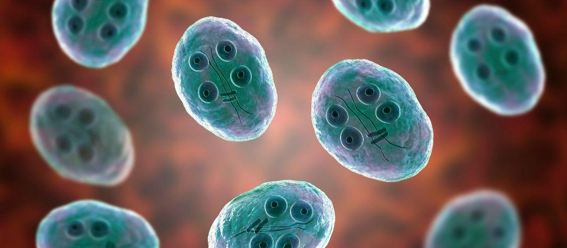 Beslenme Alışkanlıklarının Retansiyon Sürecine Yansımaları